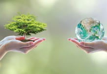 £1m climate change programme launched to help Scottish businesses