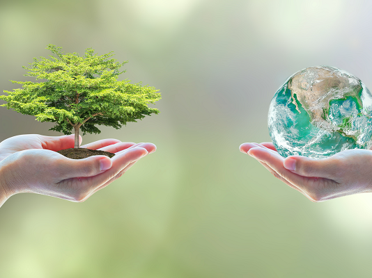 £1m climate change programme launched to help Scottish businesses