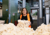 As vast amounts of polystyrene go to landfill, could wool be the answer?