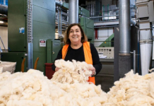 As vast amounts of polystyrene go to landfill, could wool be the answer?