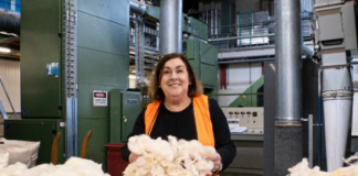 As vast amounts of polystyrene go to landfill, could wool be the answer?