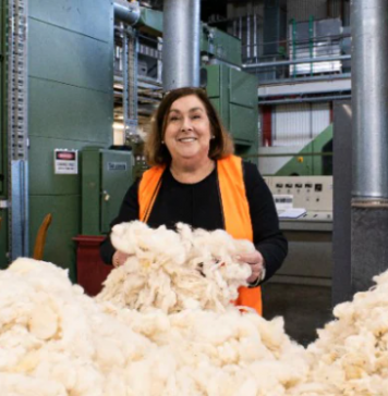 As vast amounts of polystyrene go to landfill, could wool be the answer?