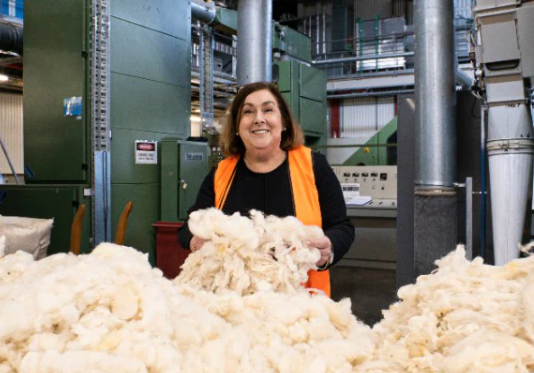 As vast amounts of polystyrene go to landfill, could wool be the answer?