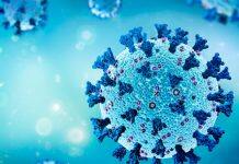 Duke Researchers Receive Grant to Roll Out Next-Generation Coronavirus Vaccine