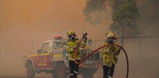 Survey reveals mental health impact of Black Summer fires on emergency workers