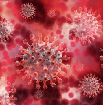 A third of leukaemia patients do not generate any antibody response to two doses of COVID-19 vaccination, study shows