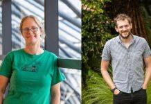 Covid modellers win University of Canterbury research medal