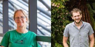 Covid modellers win University of Canterbury research medal