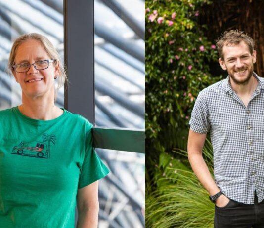 Covid modellers win University of Canterbury research medal