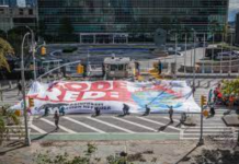 COP26: time for New Zealand to show regional leadership on climate change