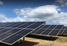 Green light for 100 per cent renewable power