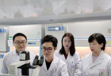 UM researchers successfully develop novel nanomedicine to inhibit tumour growth