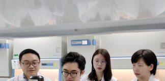 UM researchers successfully develop novel nanomedicine to inhibit tumour growth