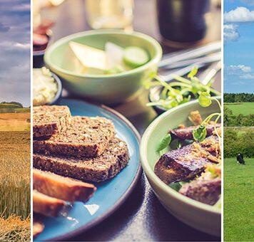 Grains overlooked as source of sustainable protein