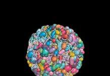 The Vast Little Library Inside of Your Cells