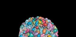 The Vast Little Library Inside of Your Cells