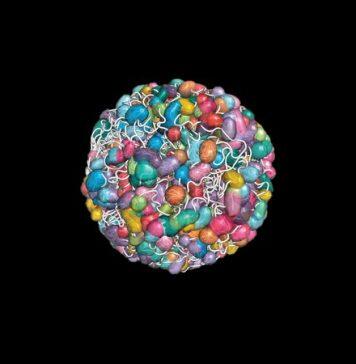 The Vast Little Library Inside of Your Cells