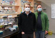 Researchers get down to the molecules of disease occurrence