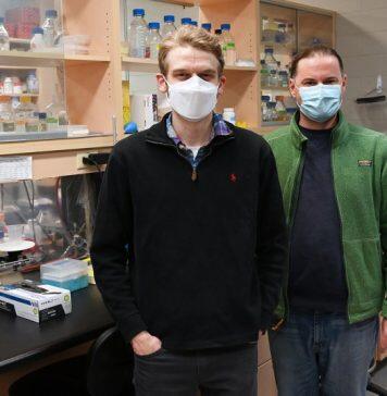 Researchers get down to the molecules of disease occurrence