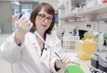 Massey delivering online learning to help Liberia battle emerging infectious diseases