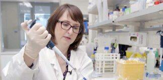 Massey delivering online learning to help Liberia battle emerging infectious diseases