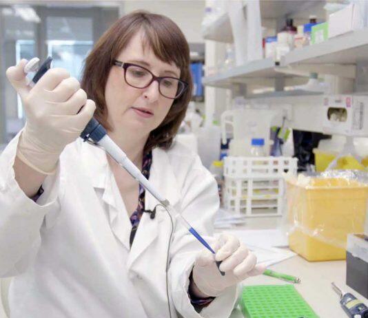 Massey delivering online learning to help Liberia battle emerging infectious diseases