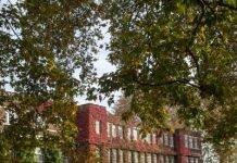 How Regent’s is moving towards a more sustainable future