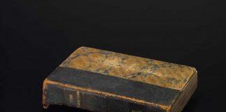 There’s a vampire in the library