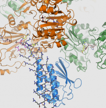 How bacteria create a piggy bank for the lean times