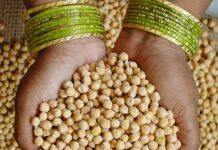 AI helps design the perfect chickpea