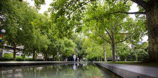 University of Melbourne joins Race to Zero