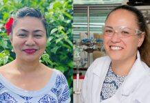 Pasifika-led research finds Samoan medicinal plant as effective as ibuprofen at stopping inflammation