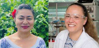Pasifika-led research finds Samoan medicinal plant as effective as ibuprofen at stopping inflammation