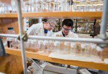 University of Calgary research test demonstrates value of new carbon capture technology for large-scale industrial use