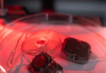 Bionic eye study paves the way towards human trials