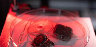 Bionic eye study paves the way towards human trials