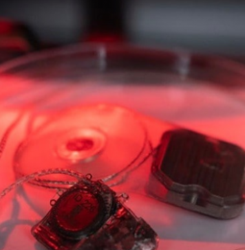 Bionic eye study paves the way towards human trials