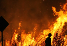Black Summer bushfire season cost farmers up to $5 billion
