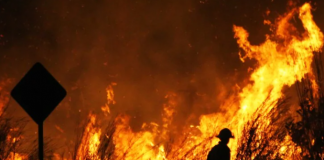 Black Summer bushfire season cost farmers up to $5 billion
