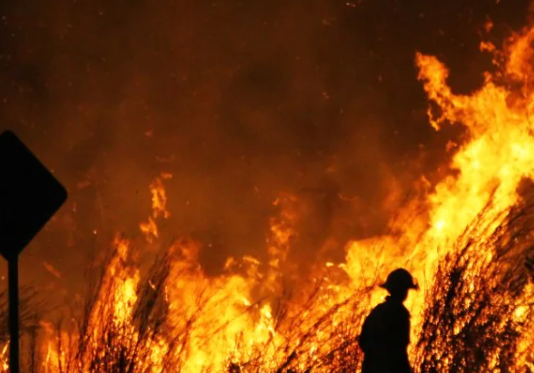 Black Summer bushfire season cost farmers up to $5 billion