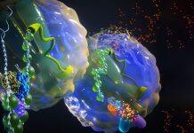 Study demonstrates a novel approach to target enhancer-addicted cancers