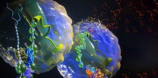 Study demonstrates a novel approach to target enhancer-addicted cancers