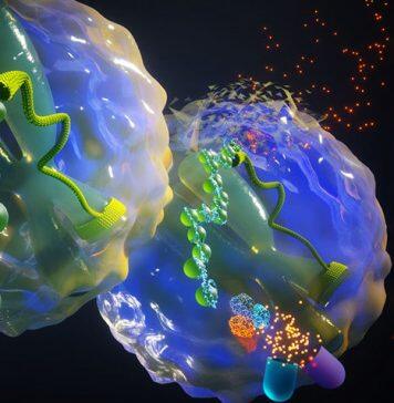 Study demonstrates a novel approach to target enhancer-addicted cancers