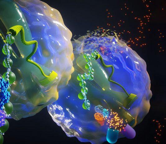 Study demonstrates a novel approach to target enhancer-addicted cancers