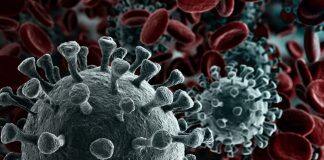 Covid-19 Vaccine Protection Wanes After Three Months, Study Suggests