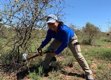 Stemming the tide of invasive weeds with world-first herbicide capsules