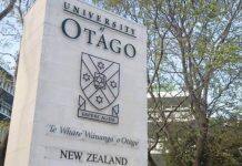 Personalised approach needed for diabetes prevention: study