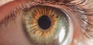 University joins world-first consortium to fight global blindness