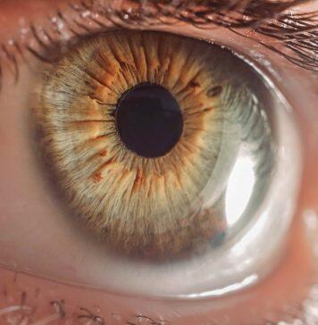 University joins world-first consortium to fight global blindness