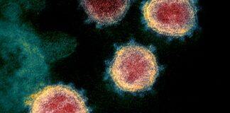 New Study Adds More Evidence for Omicron Immune Evasion